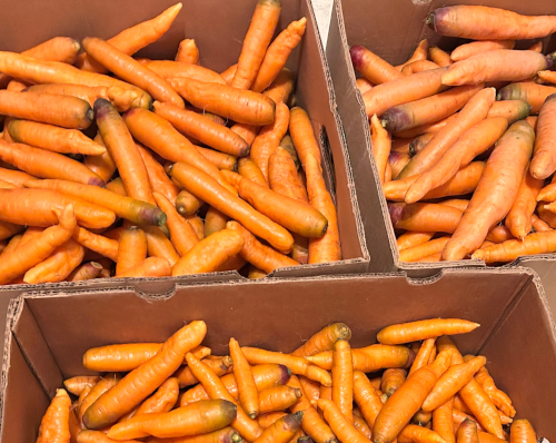 Picture of carrots.