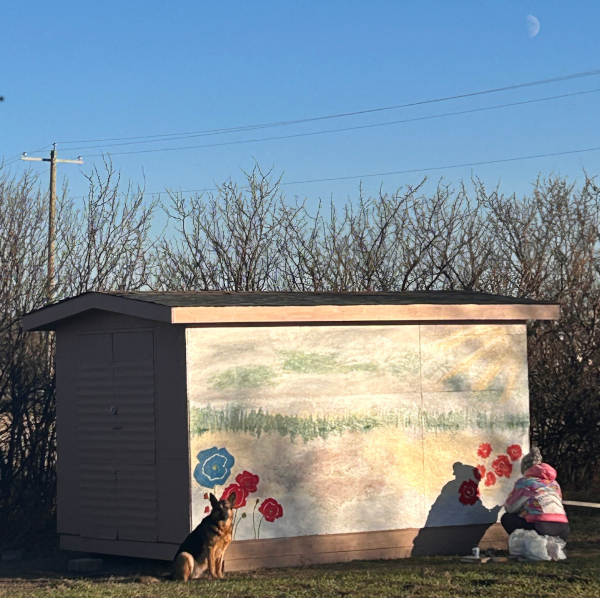 Picture of shed.